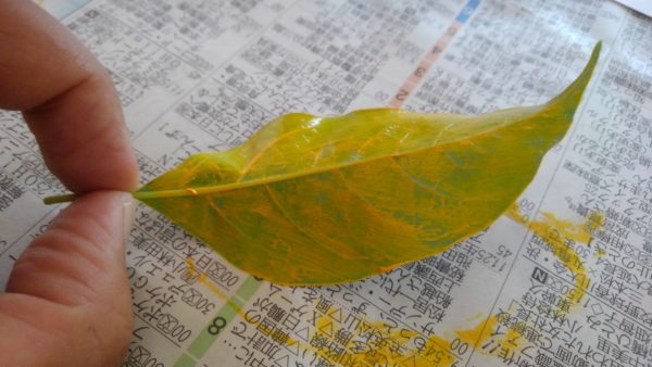 葉っぱスタンプは意外とハマるよ １時間でできる身近な自然体験 きんきんきききん